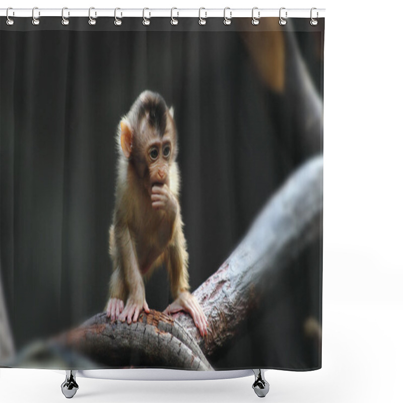 Personality  Small Monkey Child Shower Curtains