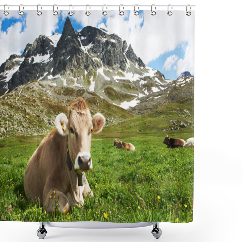 Personality  Brown Cow On Green Grass Pasture Shower Curtains