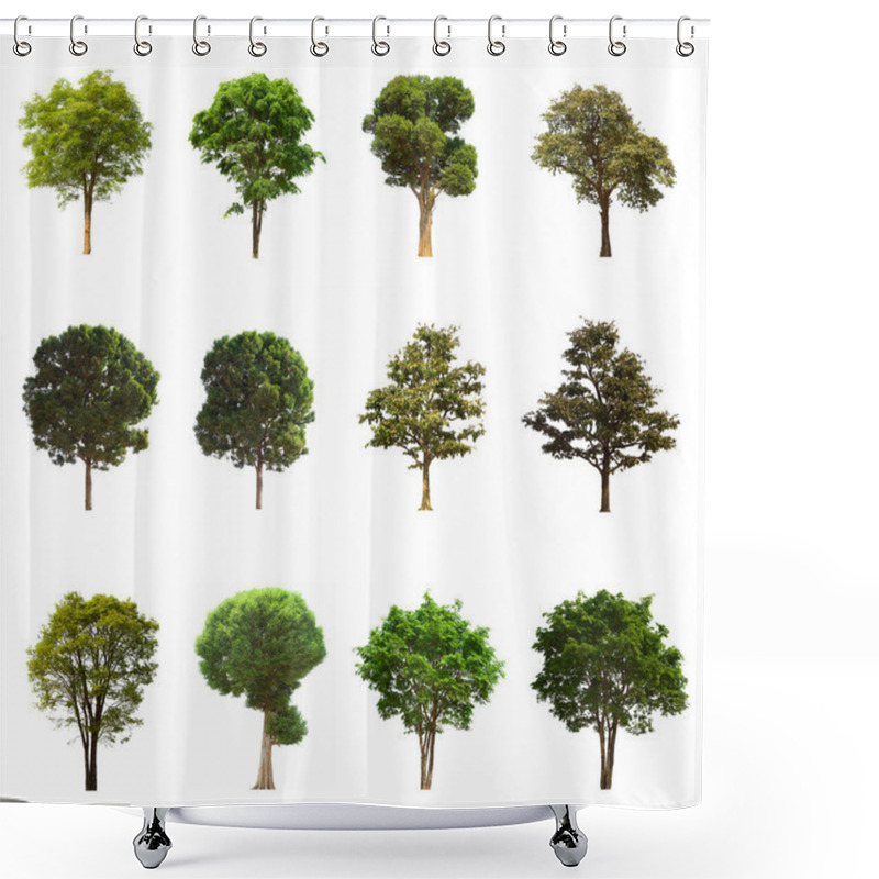 Personality  Isolated Tree Green Set Is Located On A White Background.Collection Of Isolated Tree Green On White Background Tropical Tree Shower Curtains