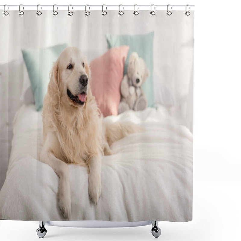 Personality  Cute Golden Retriever Dog Lying On Bed In Children Room Shower Curtains