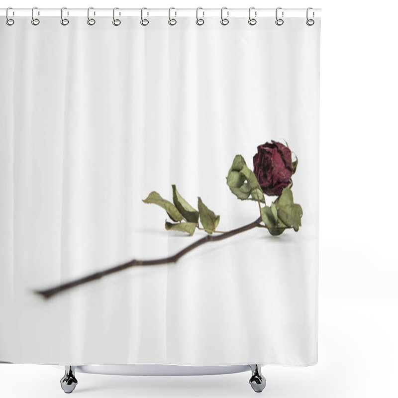 Personality  Dried Rose Lying Gracefully On A White Surface. Shower Curtains