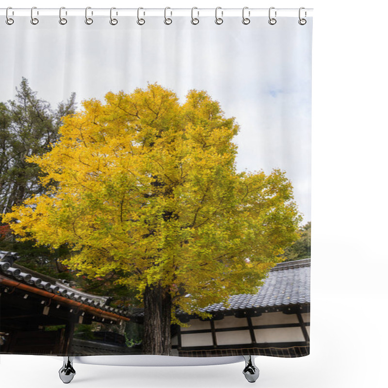 Personality  Ginkgo Tree With Beautiful Yellow Leaves In Autumn In Nara, Japan, With Traditional Japanese Houses In The Background. High Quality Photo Shower Curtains