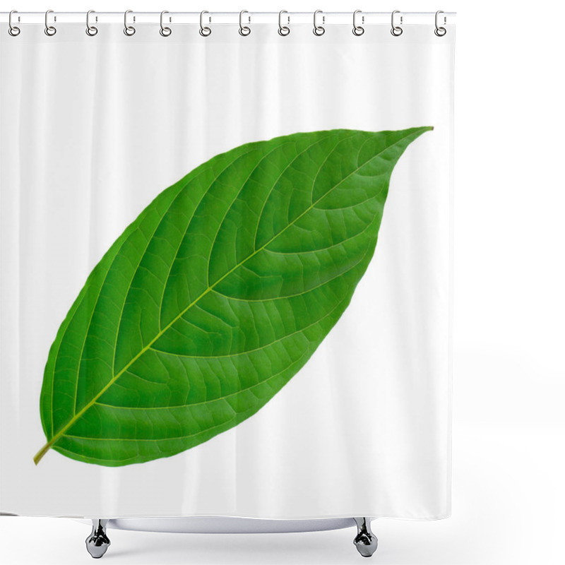 Personality  Green Leaves Isolated On A White Background. Shower Curtains