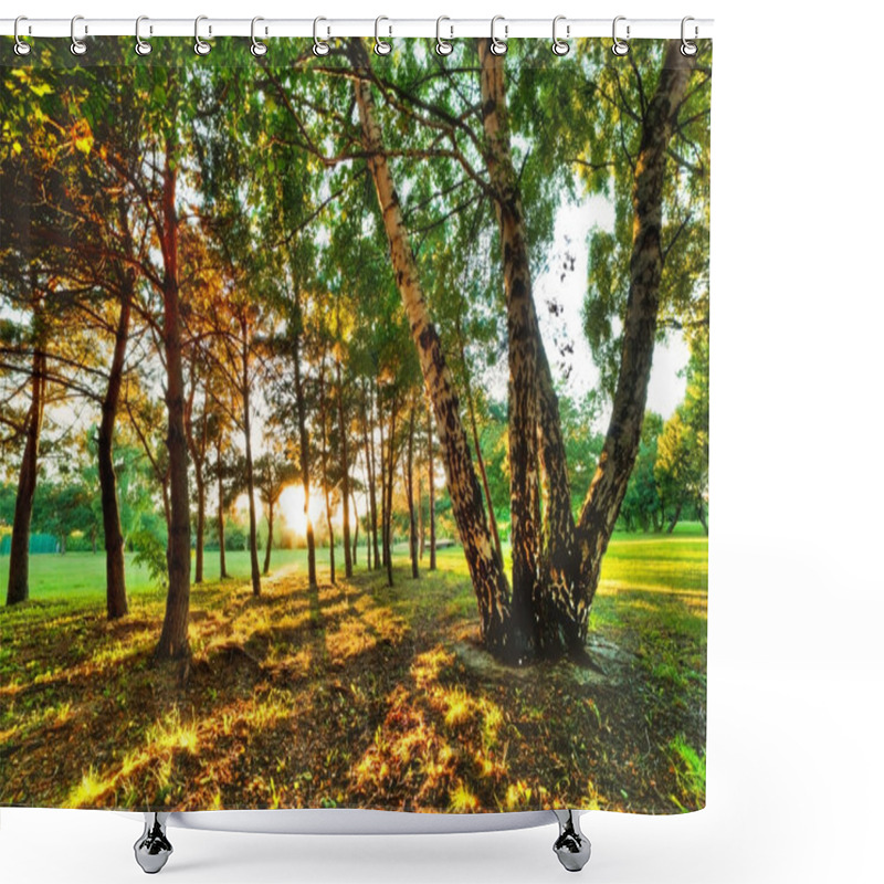 Personality  Late Summer, Autumn Sunset In A Park Shower Curtains