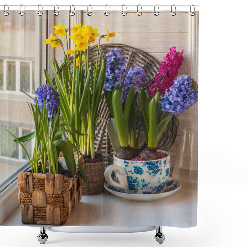 Personality  Spring Flowers In Pots On The Window Shower Curtains