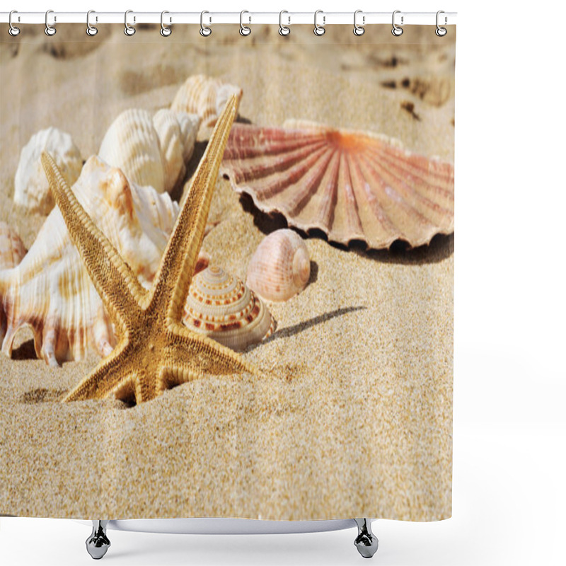 Personality  Starfish And Seashells On The Sand Of A Beach Shower Curtains