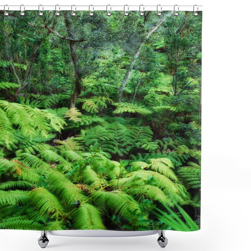 Personality  Variety Of Vibrant Trees And Plants Growing In Undisturbed Nature In Hawaii, USA. Beautiful Broad Leaf Patterns In A Soothing, Calming Forest. Leafy Canopy In Quiet Harmony In A Peaceful Park. Shower Curtains