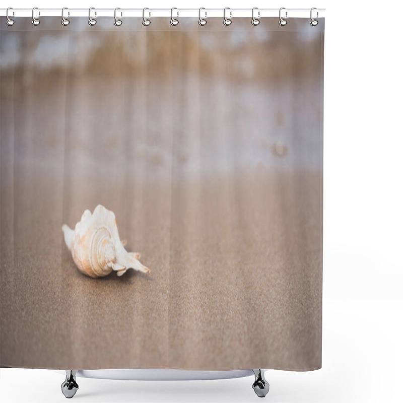 Personality  Seashell On Sandy Beach Shower Curtains