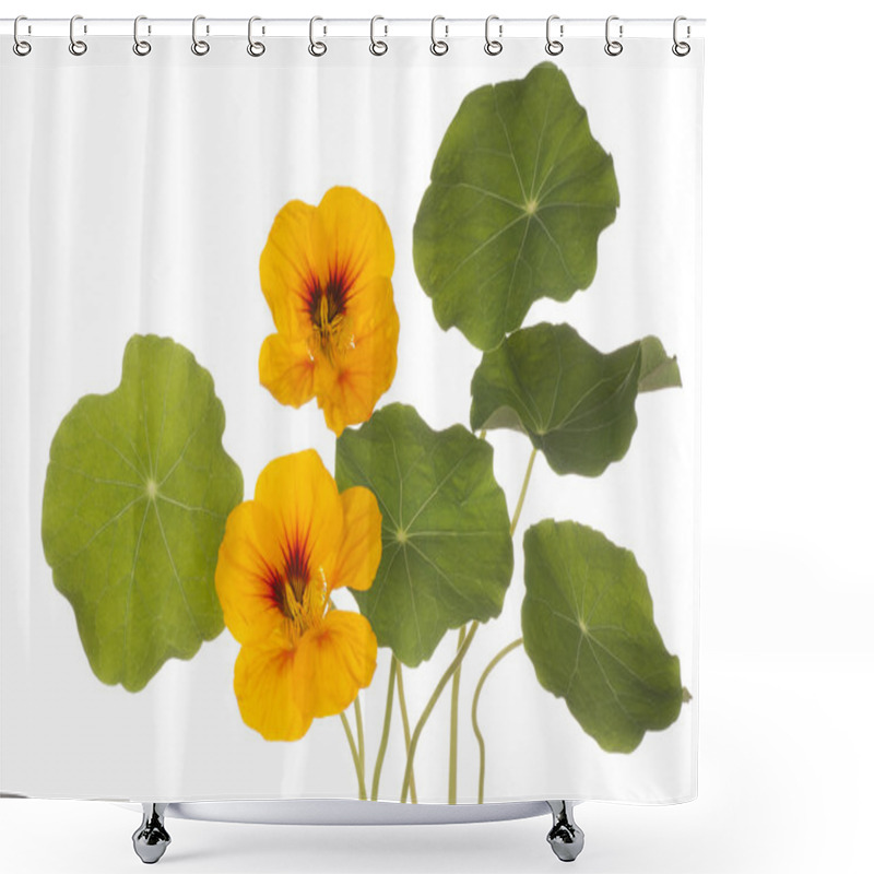 Personality  Flower Isolated On White Shower Curtains