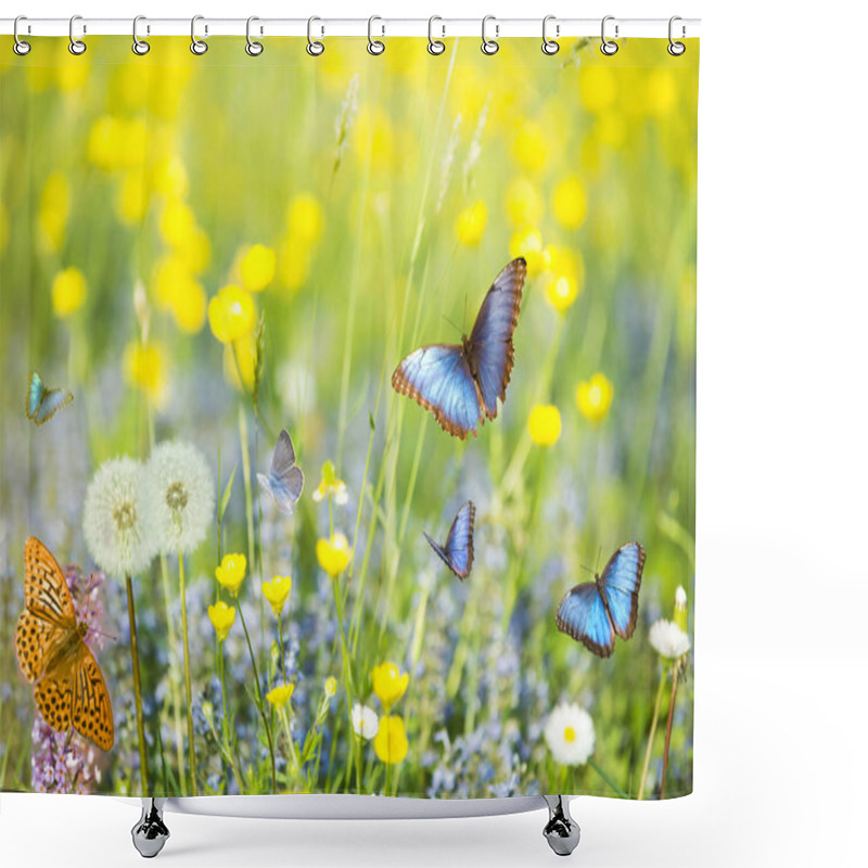 Personality  Blue Butterflies In The Foreground Flying In A Sunny Meadow Shower Curtains