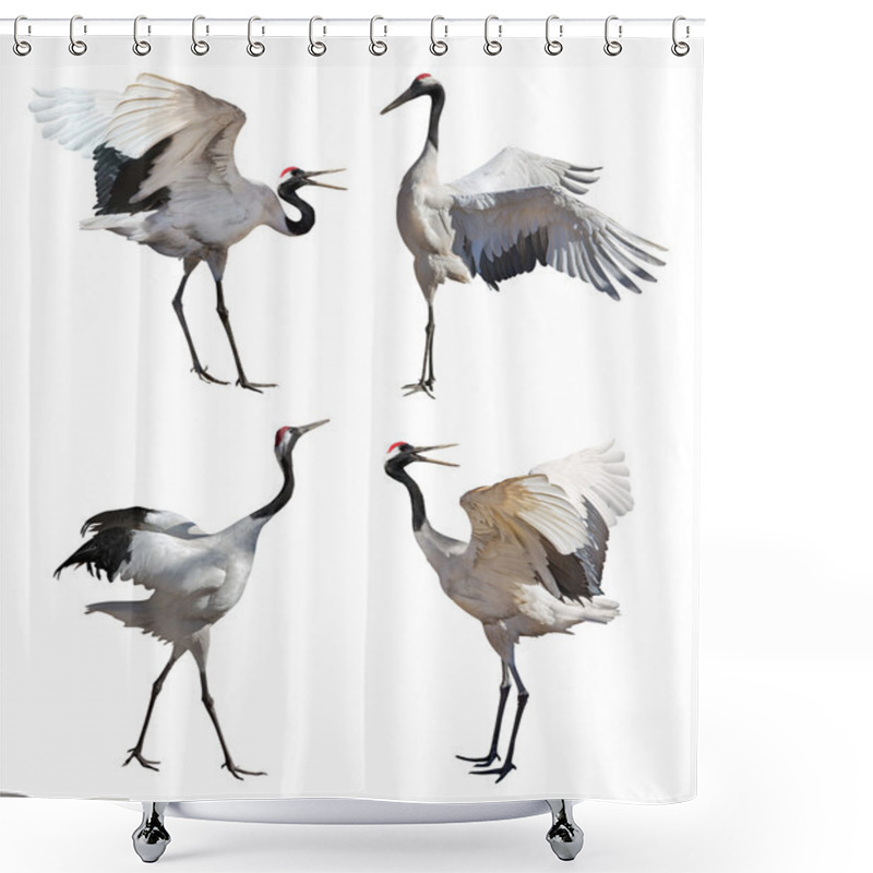 Personality  Japanese Cranes Shower Curtains