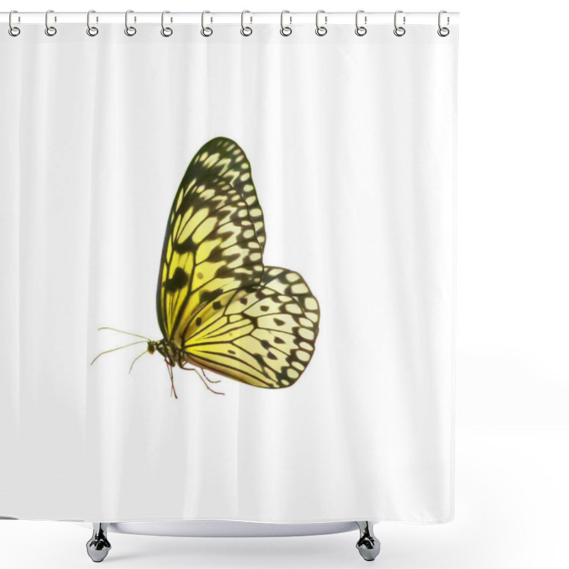 Personality  Yellow With Black Streifens Butterfly, Isolated On White Shower Curtains