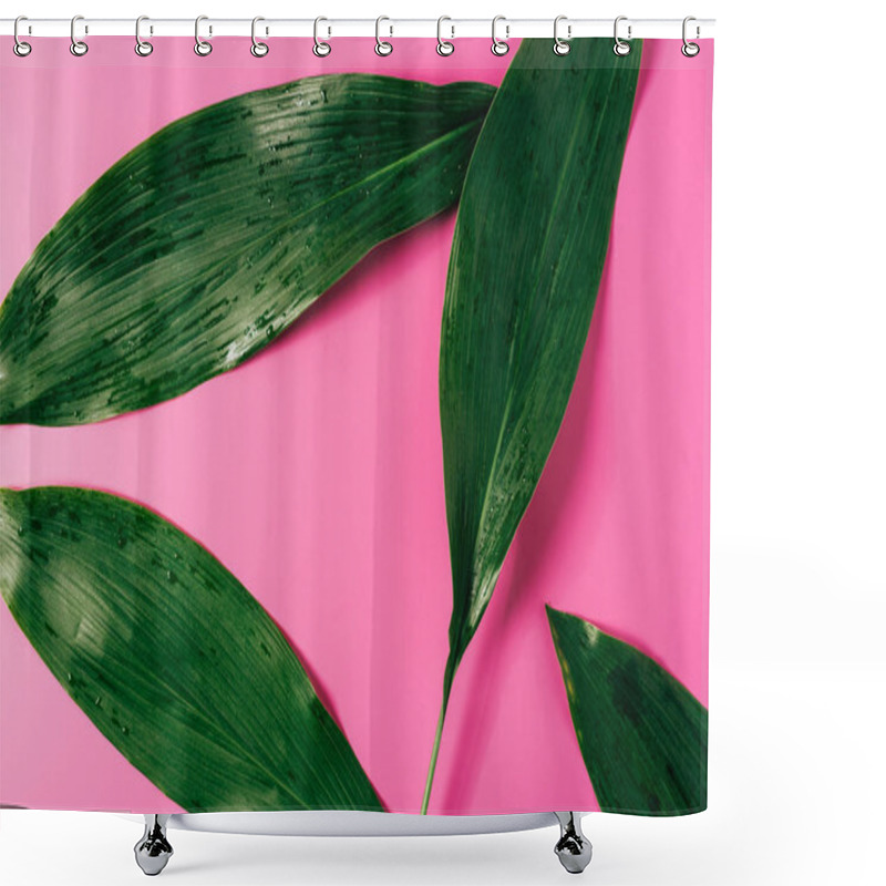 Personality  Top View Of Water Drops On Green Foliage On Pink Background Shower Curtains