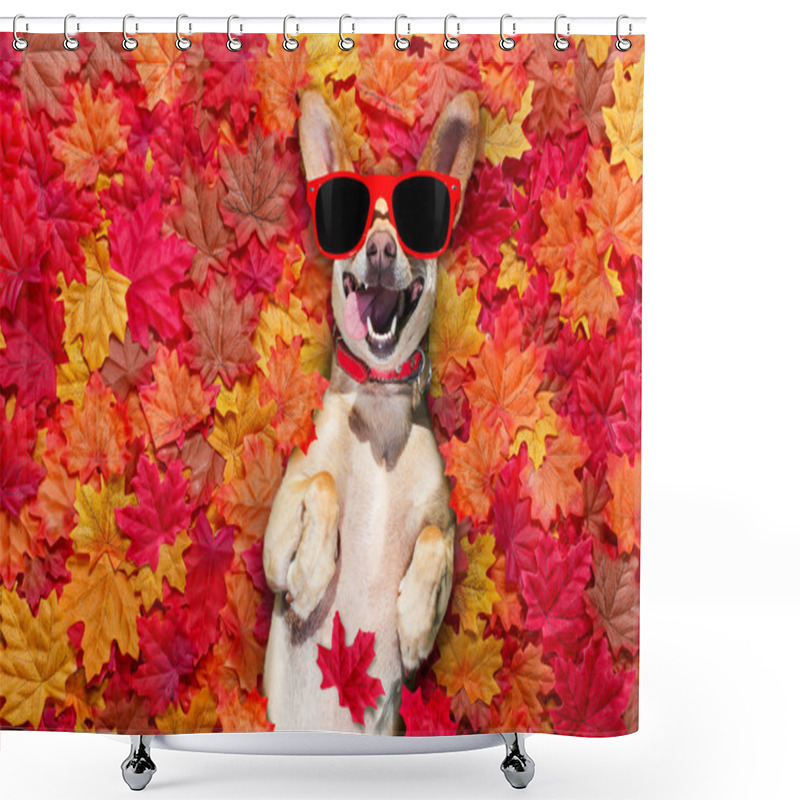 Personality  Chihuahua  Dog , Lying On The Ground Full Of Fall Autumn Leaves, Looking At You  With A Smile,   Lying On The Back Torso Shower Curtains