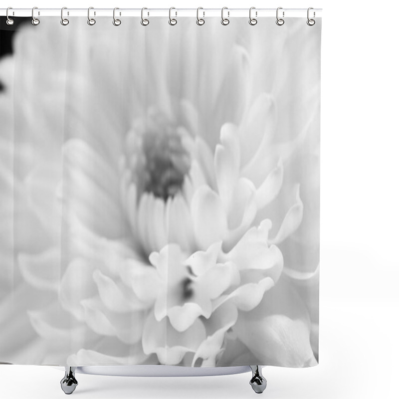 Personality  White Chrysanthemum Shower Curtains