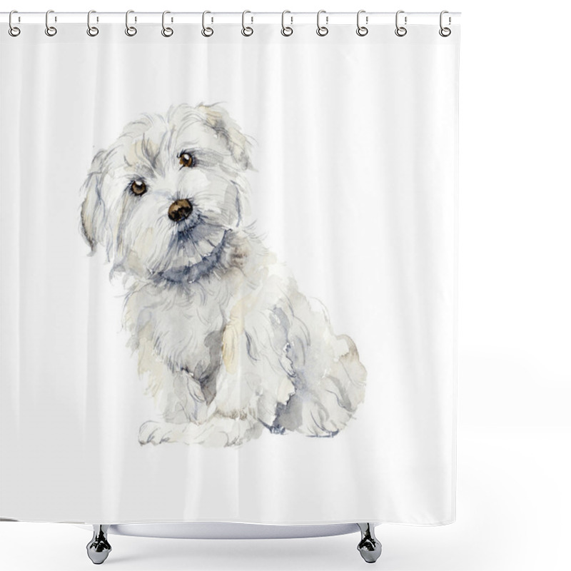 Personality  Maltese Dog. Portrait Small Dog.  Shower Curtains