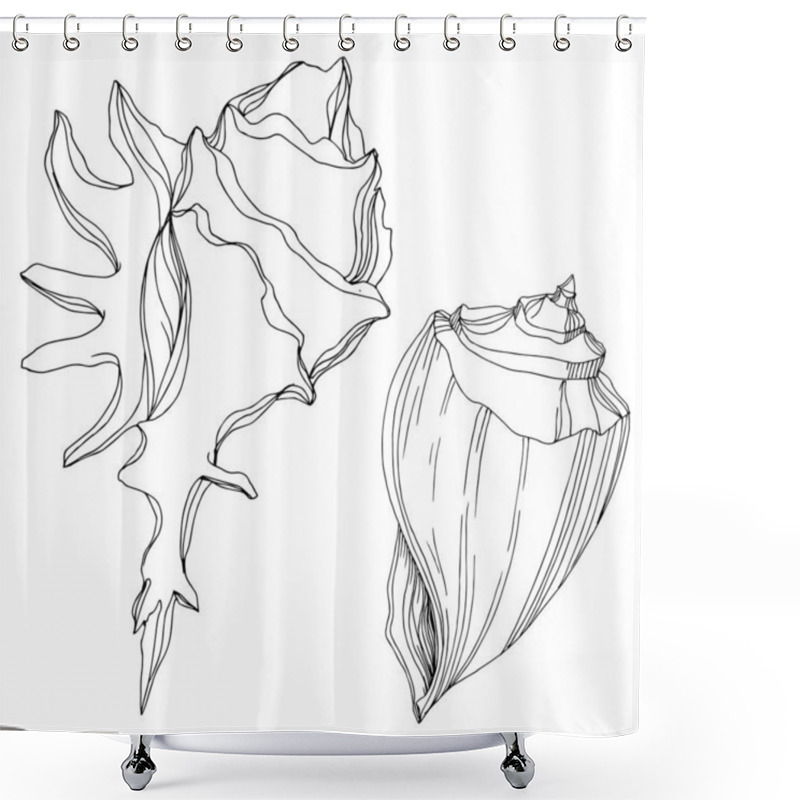 Personality  Vector Summer Beach Seashell Tropical Elements. Black And White  Shower Curtains