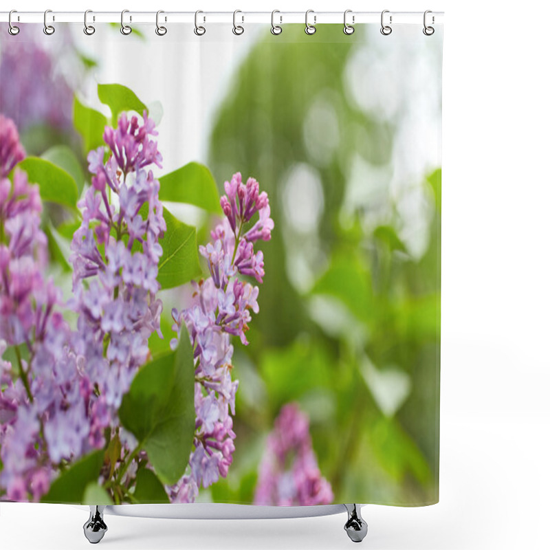 Personality  Lilac Flowers Shower Curtains