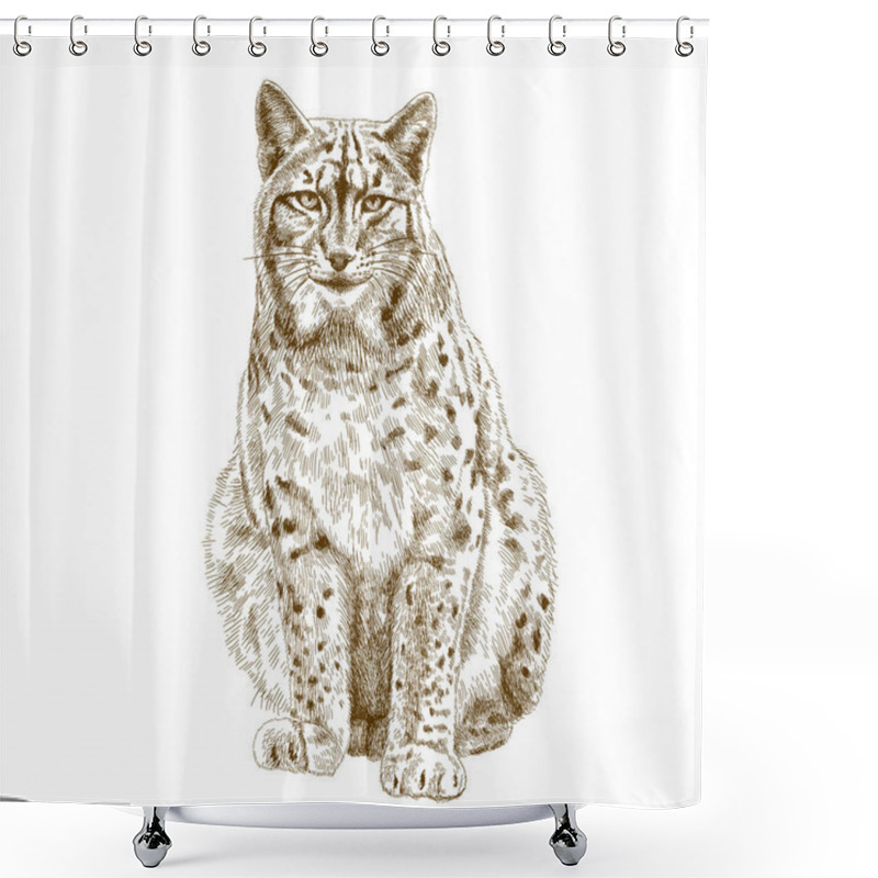 Personality  Engraving  Illustration Of Lynx Shower Curtains