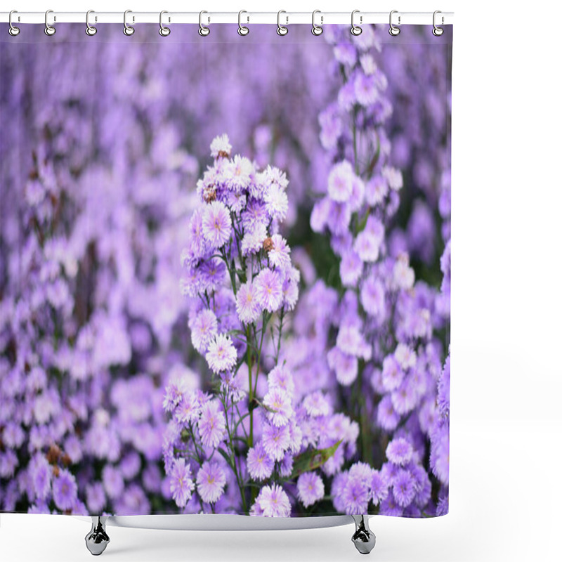 Personality  Fresh Margaret Flower Field Garden At The Mountain Shower Curtains