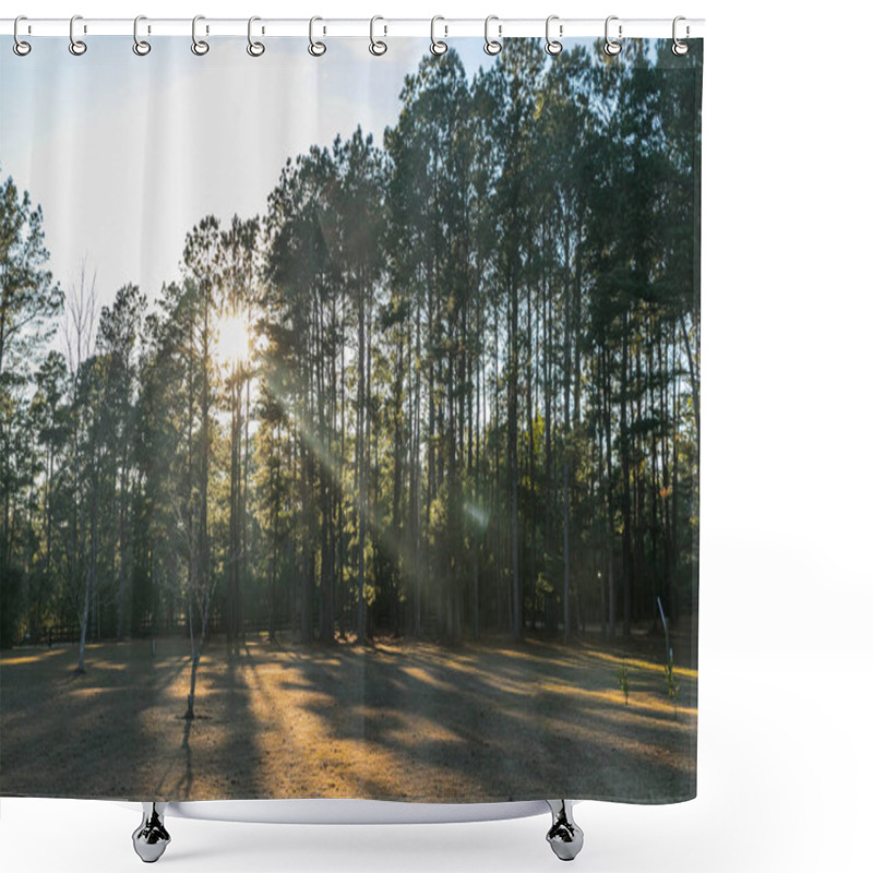 Personality  Large Piece Of Open Propert In Georgia Full Of Pine Trees Shower Curtains