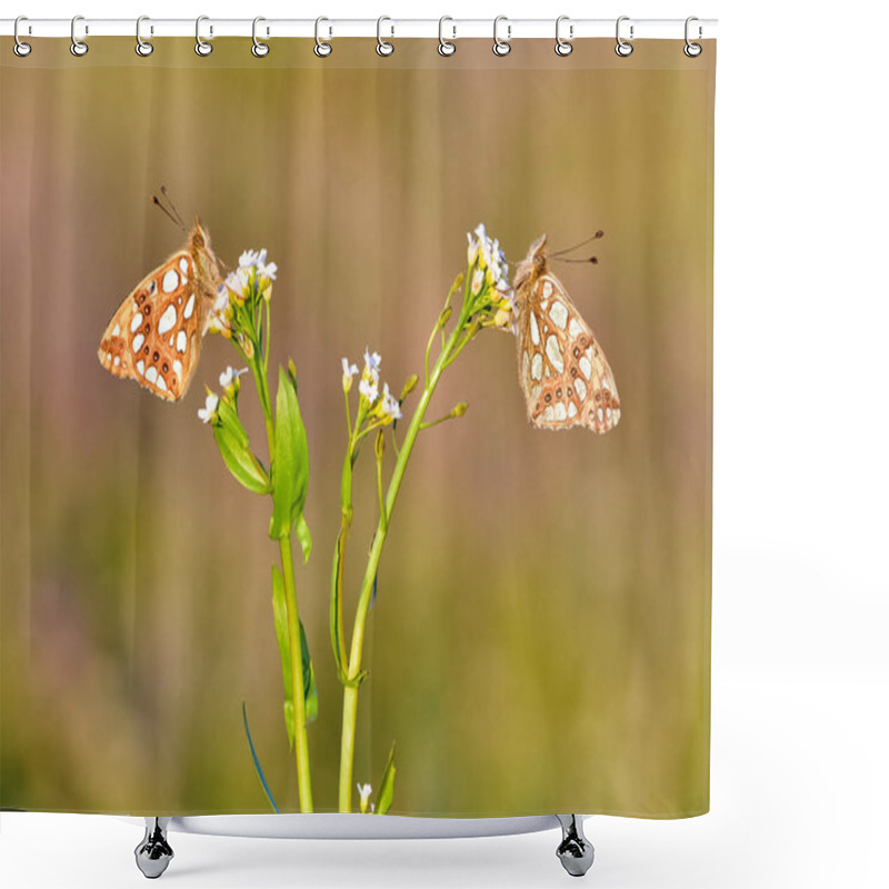 Personality  Photos Of Butterflies Feeding On Flowers Shower Curtains