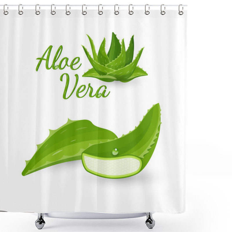 Personality  Aloe Vera Plant And Its Parts, Vector Illustration Shower Curtains