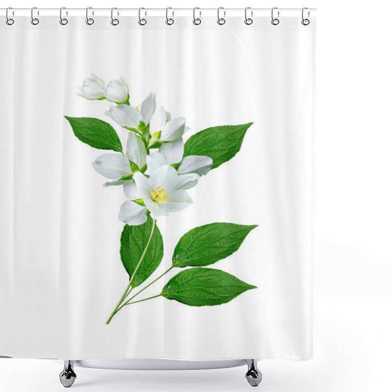 Personality  Branch Of Jasmine Flowers Isolated On White Background Shower Curtains