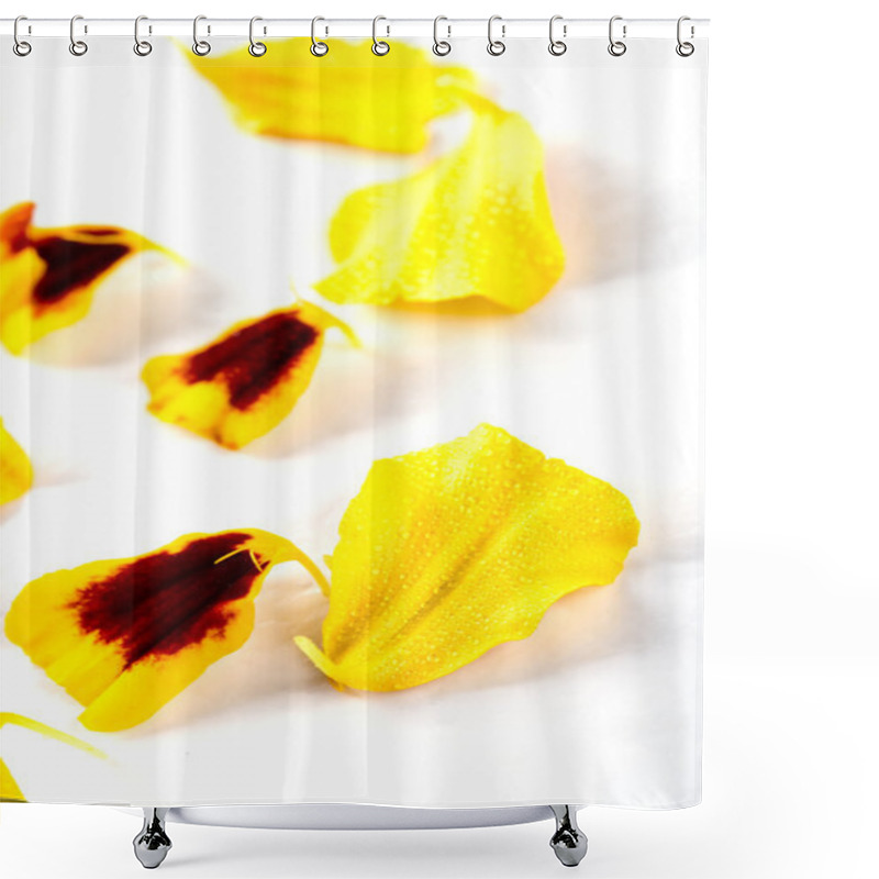 Personality  Marigold Flowers Petals Shower Curtains