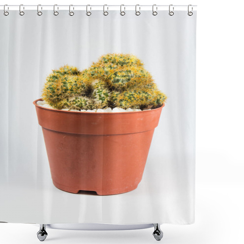 Personality  Cactus On White Background Shower Curtains