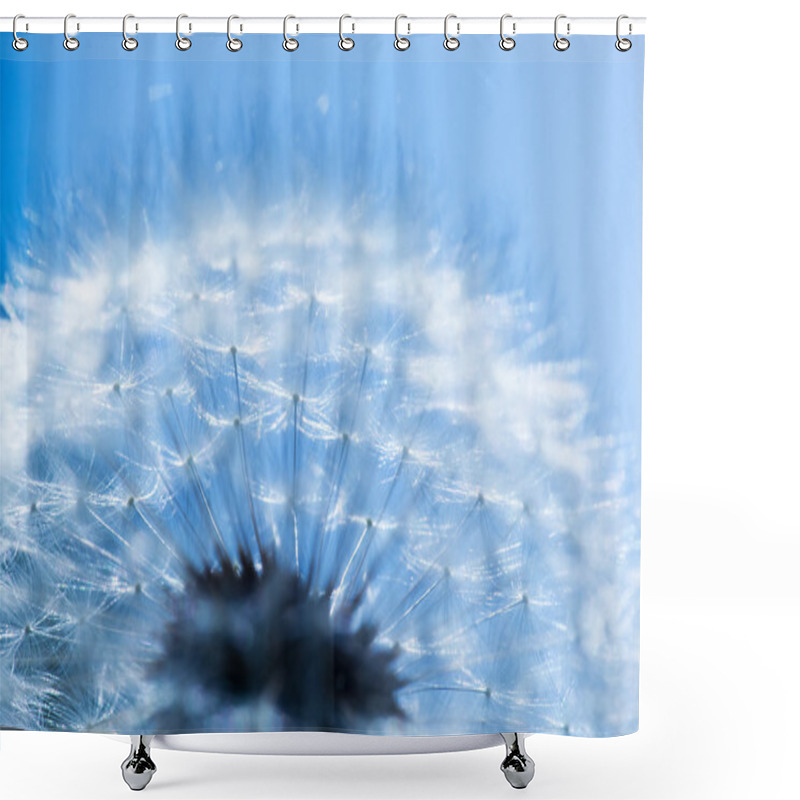 Personality  Close-up Of Dandelion, Blue Sky. Shower Curtains