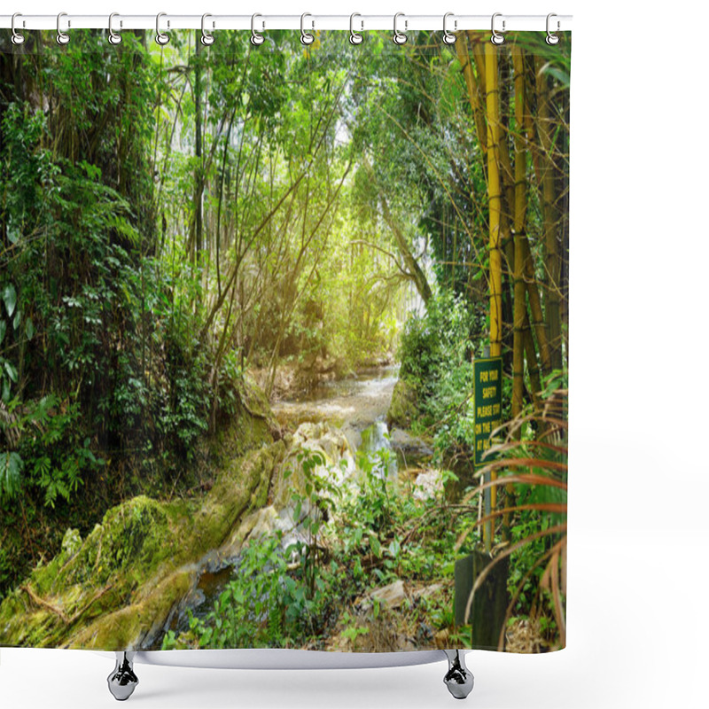 Personality  Lush Tropical Vegetation Of Hawaii Tropical Botanical Garden Of Big Island Of Hawaii, USA Shower Curtains