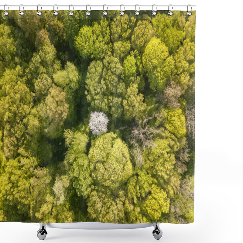 Personality  Blooming Apple Trees In The Deciduous Forest In Spring On A Sunny Day. Aerial Drone View. Shower Curtains