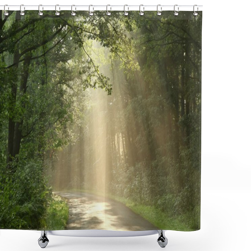 Personality  Deciduous Forest After The Rain Shower Curtains