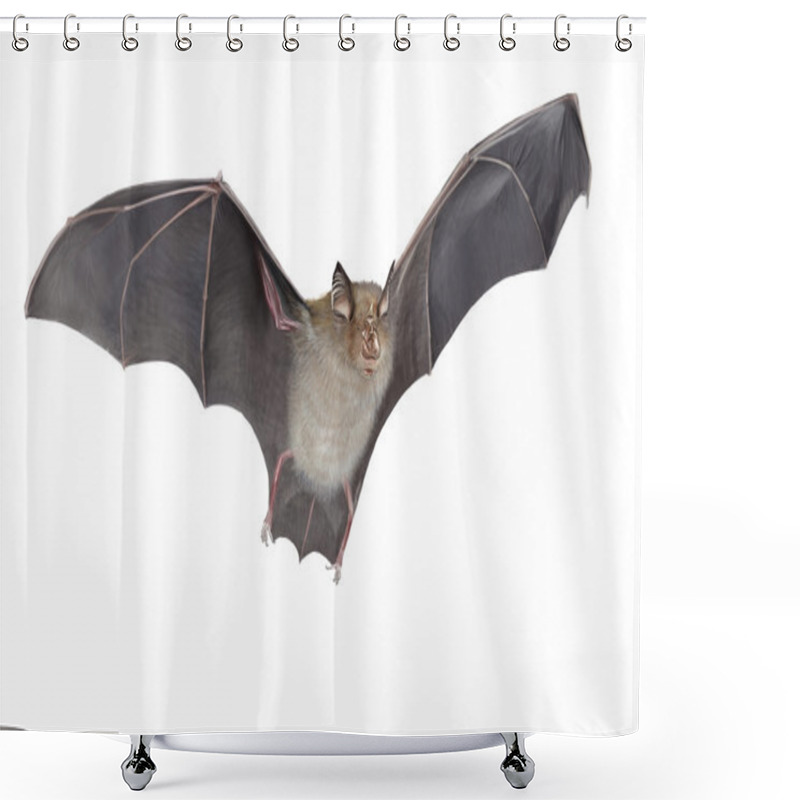 Personality  Horseshoe Bat Isolated Shower Curtains