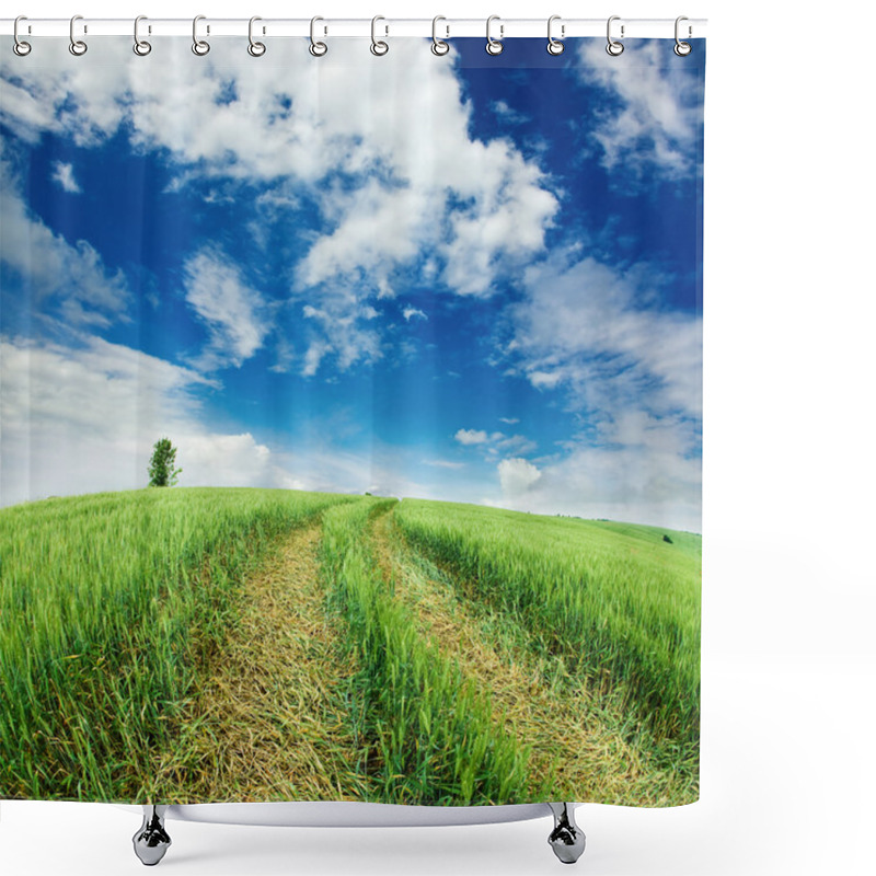 Personality  Field With Ears Of Wheat Shower Curtains