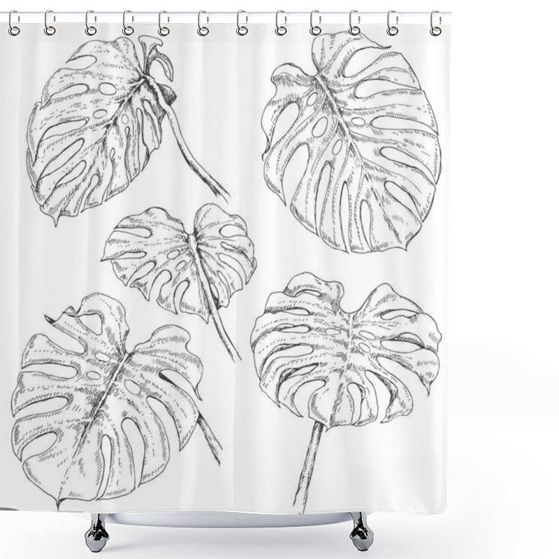 Personality  Monstera Fronds Sketch Shower Curtains