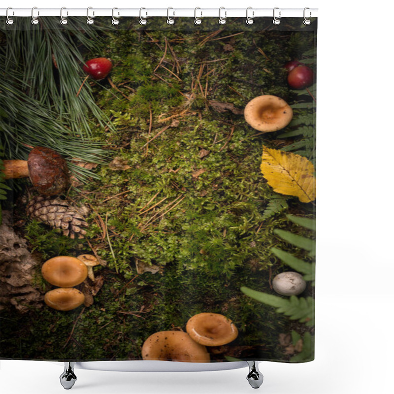 Personality  Natural Decorative Frame Of Green Moss, Mushrooms, Leaves Of A Fern And Wild Red Apples. Shower Curtains