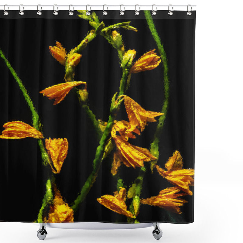 Personality  Beautiful Blooming Wet Orange Lilies And Buds With Green Stems Isolated On Black Shower Curtains