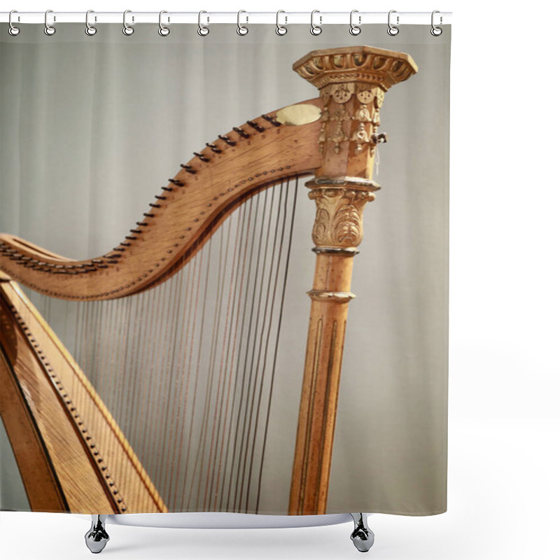 Personality  View Of Ancient Harp On Wall Background Shower Curtains