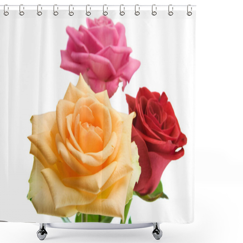 Personality  Rose On The White Shower Curtains