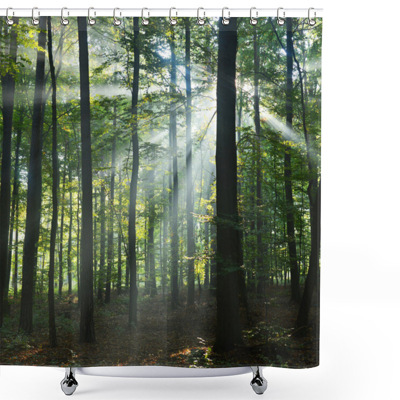 Personality  Forest Trees Shower Curtains