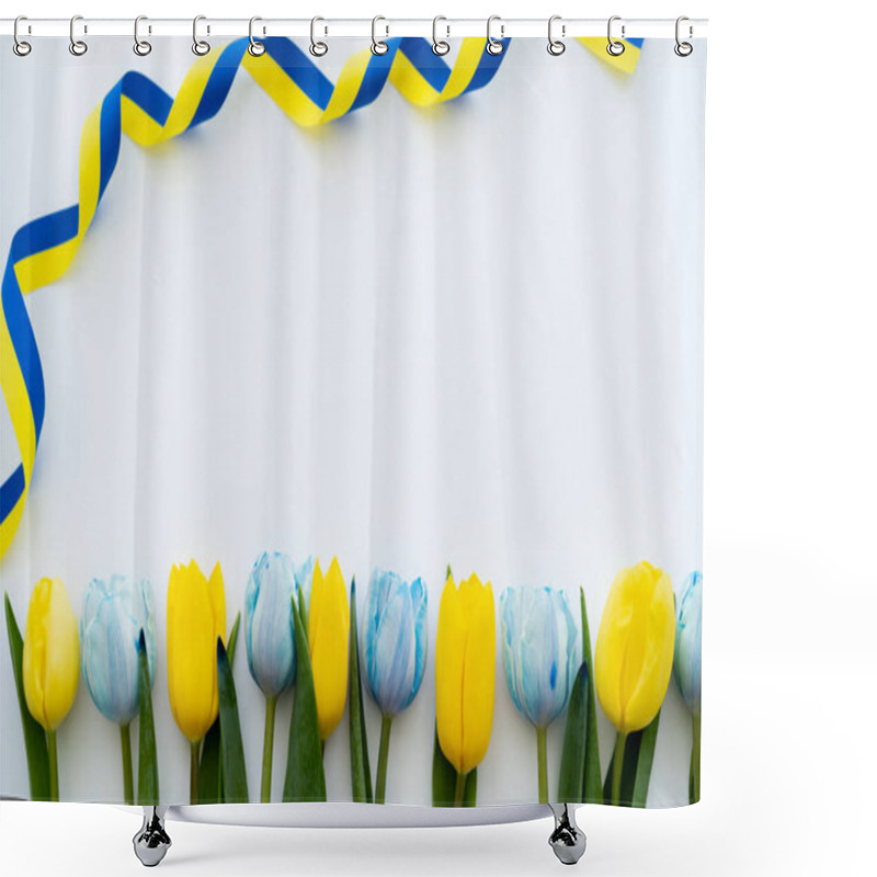 Personality  Top View Of Curly Yellow And Blue Ribbon Near Row Of Tulips On White Background  Shower Curtains