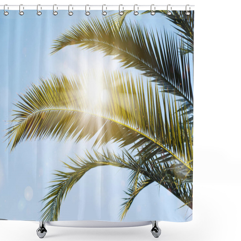 Personality  Sun Rays Through The Palm Tree Leaves Over Blue Sky. Summer Sunset Scenery. Holidays And Summertime Background. Shower Curtains