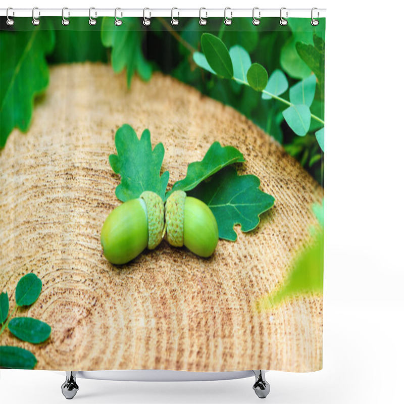 Personality  This Photograph Shows The Graceful Beauty Of Nature: Two Green Oak Acorns Are Neatly Arranged On A Fresh Tree Cut, Surrounded By Oak Leaves. Shower Curtains