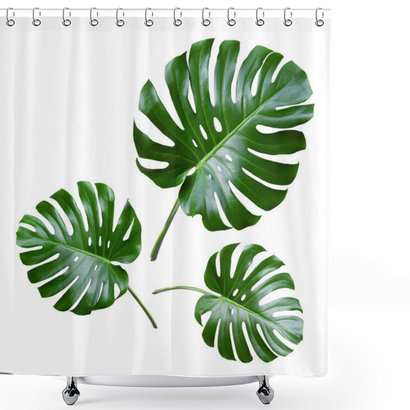 Personality  Tropical Leaves Monstera Isolated On White Background. Object With Clipping Path Shower Curtains