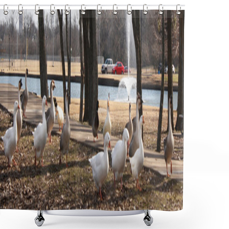 Personality  Duck Trail Shower Curtains