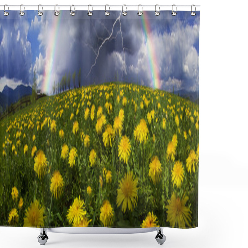 Personality  Summer Flowers Dandelions After Rain Shower Curtains