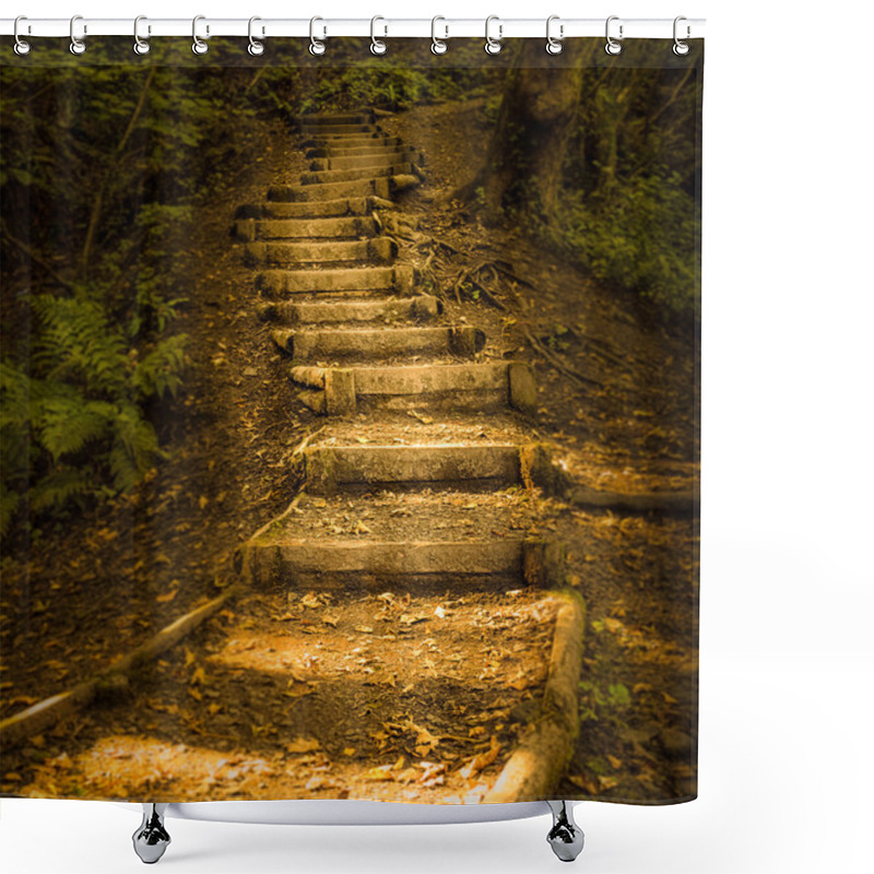 Personality  Autumn Forest Steps Shower Curtains