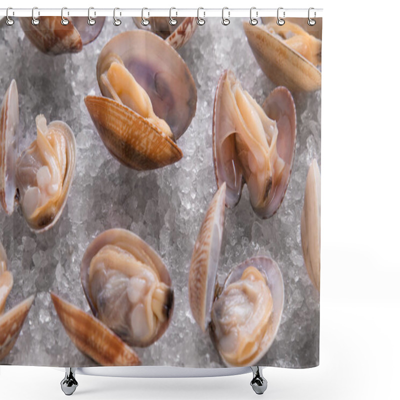 Personality  Seafood Shells Close-up. Shower Curtains